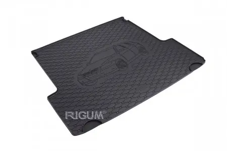 Vezi acum Tavita de portbagaj BMW Seria 3 E91 Combi 2005 - 2012
