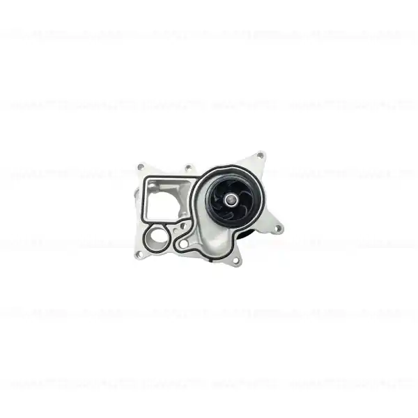 Reducere specială Pompa lichid racire, mecanica - BMW Seria 3 F30 F31 F34, Seria 4 F32 F33 F36, Seria 5 F07 F10 F11, Seria 6 F06 F12 F13, Seria 7 F01 F02, X3 F25, X4 F26, X5 E70 F15, X6 E71 F16